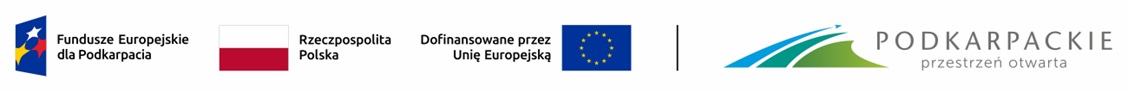 LOGO EFS PLUS